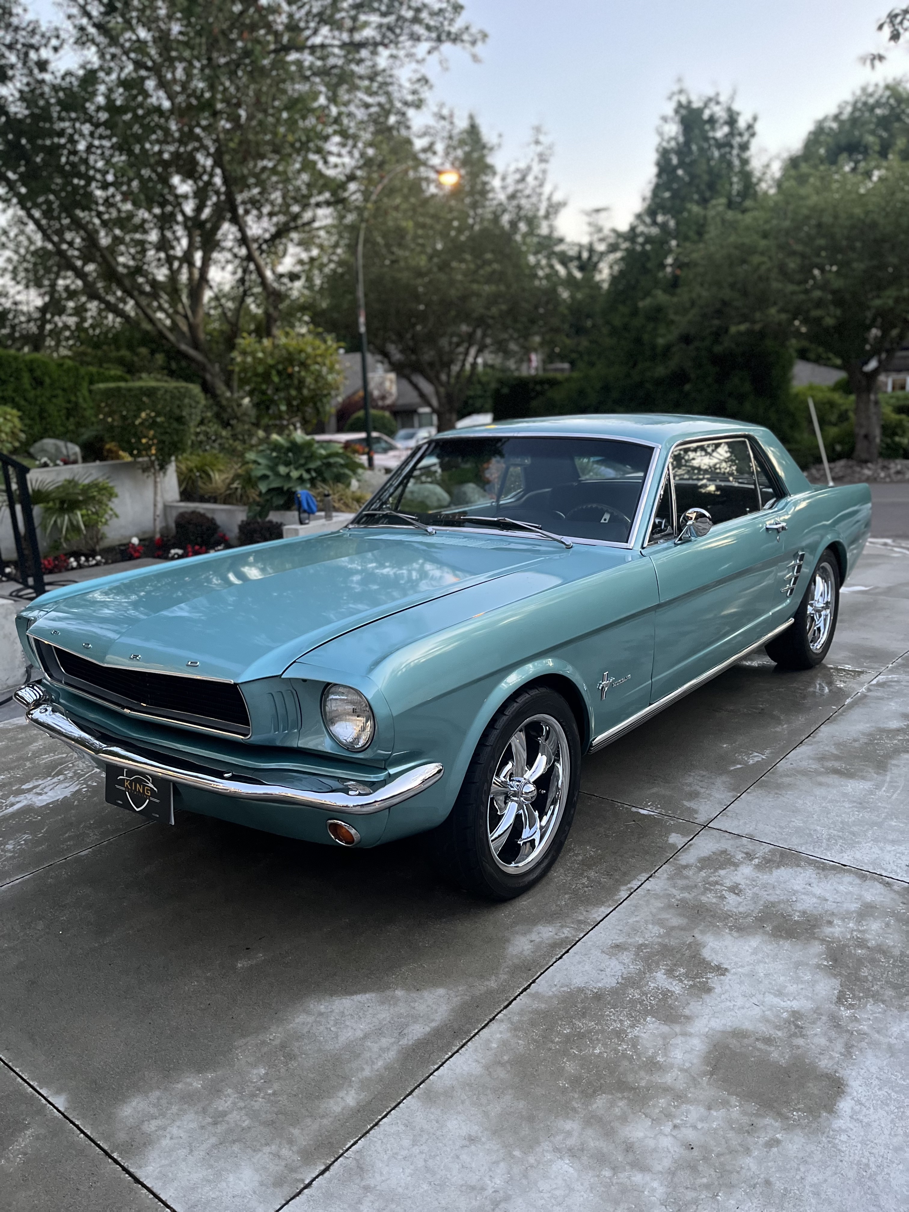 Mustang Exterior Wash